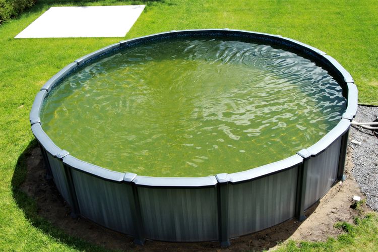 Zelená voda v bazéne po zime