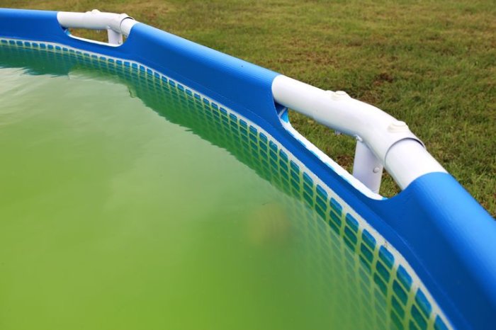 Zelená voda v bazéne