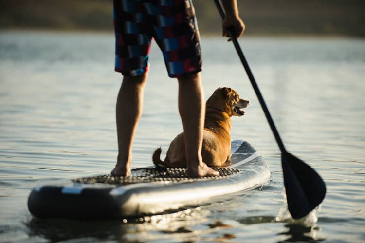 Paddleboard s pádlem