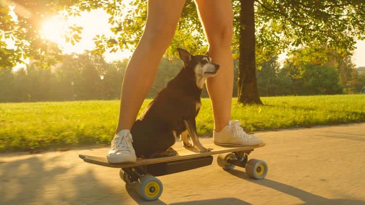 Elektrický skateboard/longboard ovládání