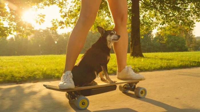 Elektrický skateboard/longboard ovládanie