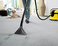 Tepovač Kärcher SE 4001 recenzia