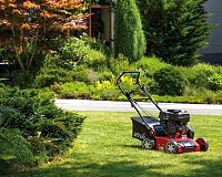 Benzínový vertikutátor MTD Optima 38