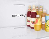 Samsung RS66A8100SL Twin Cooling