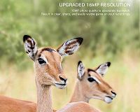 Apeman Trail Cam H55 rozlíšenie