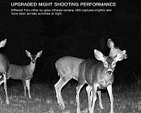 Apeman Trail Cam H55 nočné fotenie