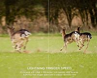 Apeman Trail Cam H55 PIR senzor