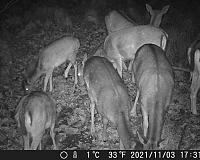 OXE Gepard II nočné fotenie