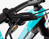 Crussis e-Fionna bzrdy