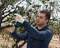 Aku záhradné nožnice Bosch Pro Pruner 0.601.9K1.021 recenzia