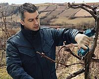 Akumulátorové záhradné nožnice Bosch Pro Pruner 0.601.9K1.021