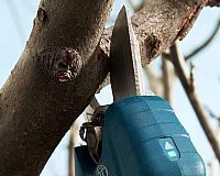 Bosch Pro Pruner 0.601.9K1.021 priemer strihu