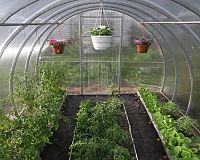 Skleník LanitPlast DODO Dneper