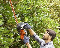 Elektrické nožnice na živý plot Black & Decker BEHTS501 recenzia