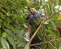 Nožnice na živý plot Black & Decker BEHTS501 recenzia