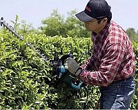 Elektrické nožnice na živý plot Makita UH4570