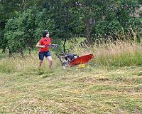 Bubnová kosačka Vari DS-521Z Agatha