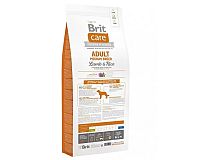Granule pre psov Brit Care Adult Medium Breed Lamb & Rice