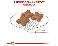 Royal Canin Mini Adult veľkosť granúl